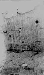 225.24.jpg (7073 bytes)