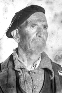 NV014.jpg (43600 bytes)