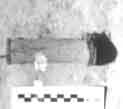 277.24.jpg (5274 bytes)