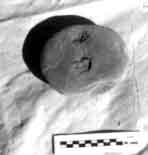 279.25.jpg (7129 bytes)
