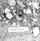 299.04.jpg (11093 bytes)