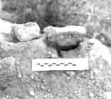299.05.jpg (8948 bytes)