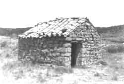 237.20.jpg (8857 bytes)