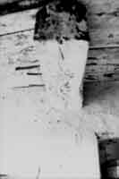 227.23.jpg (6066 bytes)
