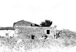 256.28.jpg (7573 bytes)