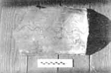 300.22.jpg (6548 bytes)