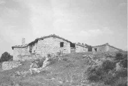 wpeD.jpg (13325 bytes)