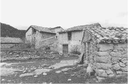 wpe21.jpg (17458 bytes)