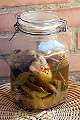 Conserva de pichones